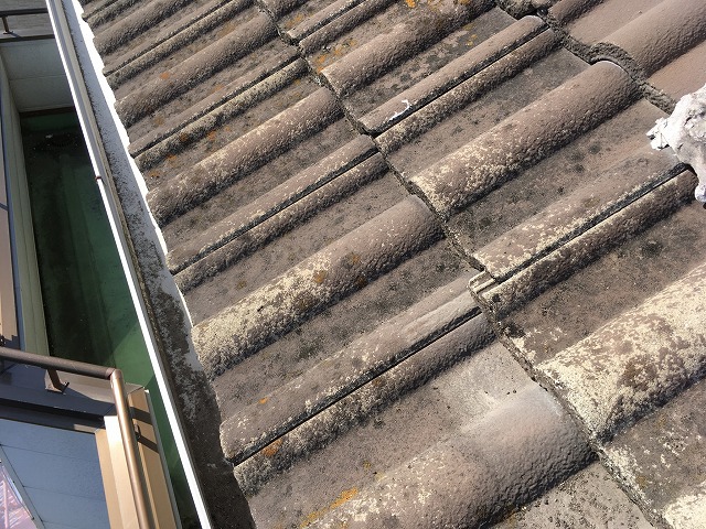 雨樋の詰まりを確認